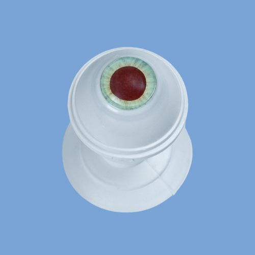 Ultrason A/B Scan ve UBM