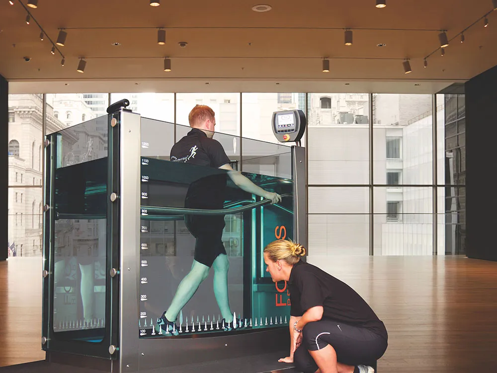 FOCUS SU  KOU BANDI FOCUS SU  KOU BANDI